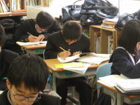 IMGP3398