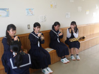 IMGP3508