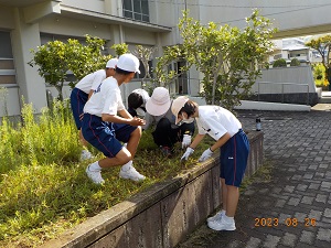 掲載用4