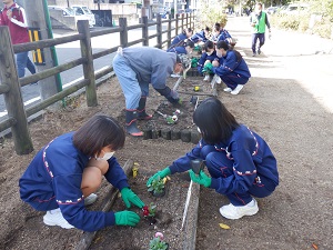 掲載用１