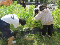 掲載用２