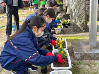 掲載用５