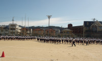 IMGP0349