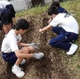 たねまき３