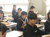 IMGP2442