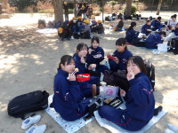 IMGP2601