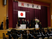 IMGP0234