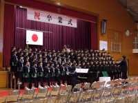 IMGP0334