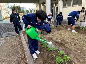 掲載用２