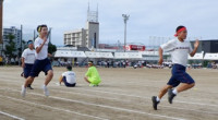 掲載用９