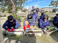 掲載用７