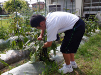 DSCF0312