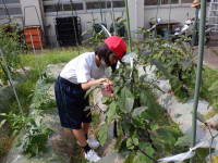 DSCF0313